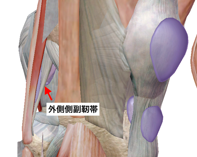 膝滑液包炎とは何ですか?